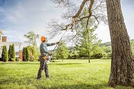 Tree and Shrub Care in Edgard, LA